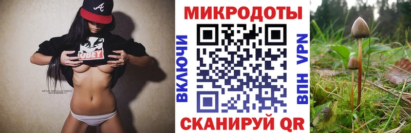 Галлюциногенные грибы Magic Shrooms блэк спрут как зайти Агрыз хочу наркоту